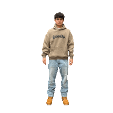 Load image into Gallery viewer, Desert Aura Étoile Hoodie
